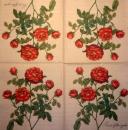 084 Rosen - 3-lagig( hell brombeer) - Atelier